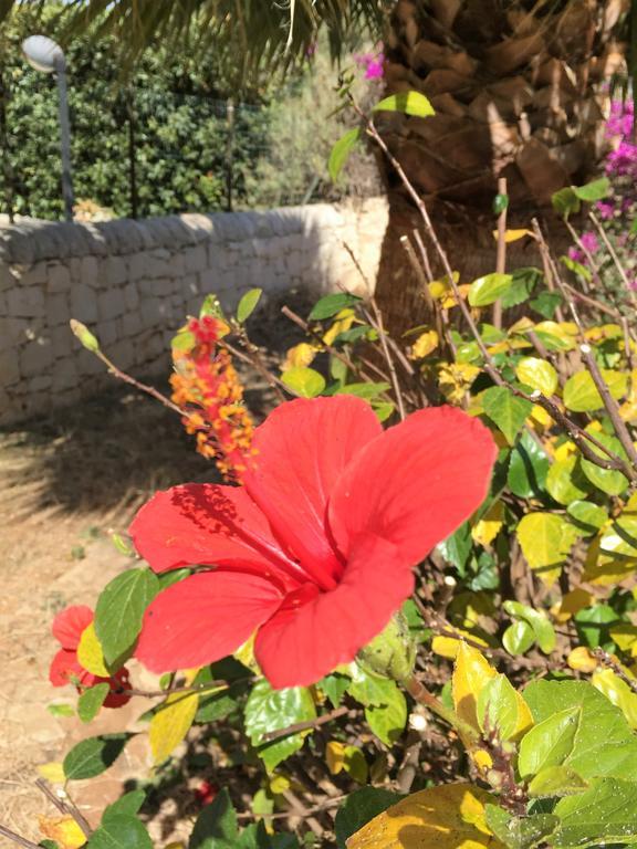 Vila Hibiscus Rosso Donnalucata  Exteriér fotografie